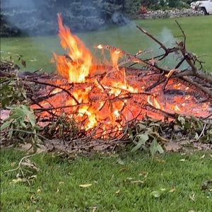 Meet your Posher, Isabel